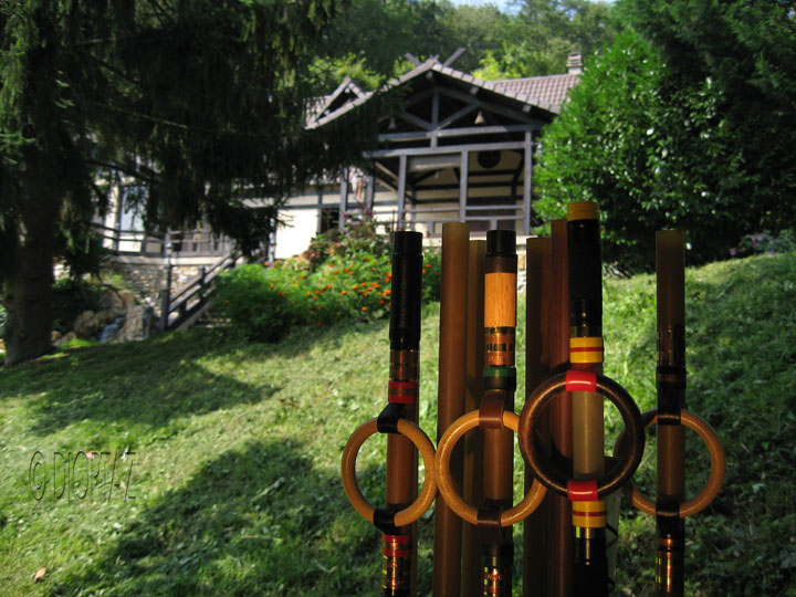 Zen-Dojo-Sarbacana 12